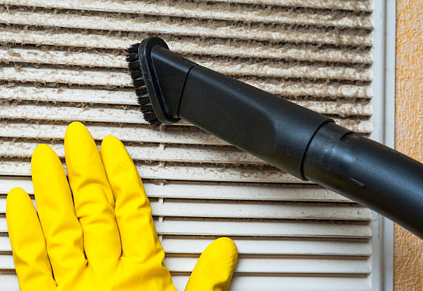 Best Home Air Vent Cleaning  in Royal Pines, NC